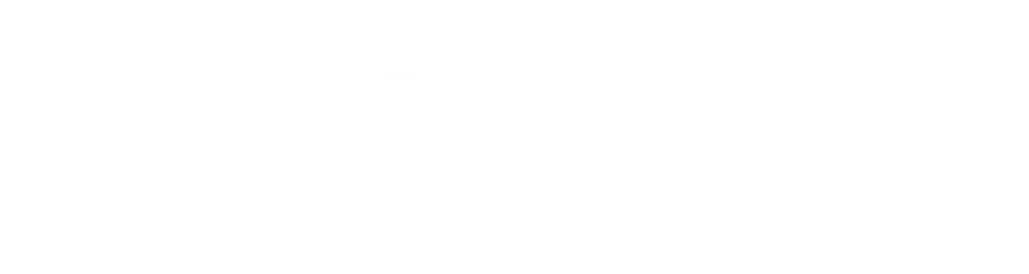 npower-business-solition-logo-white
