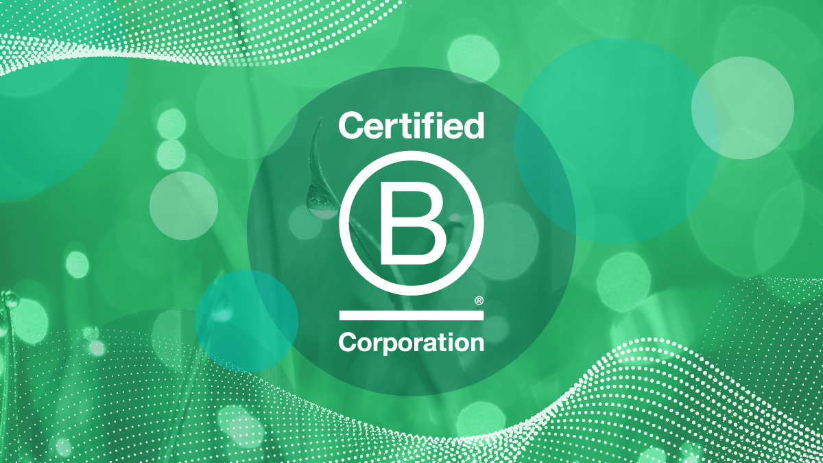 Part of the 0.1%: What our B Corp Certification really means